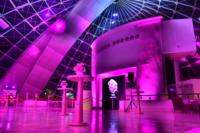 The Pink Party at The Dome Part1